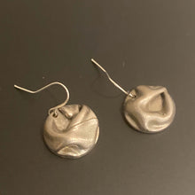 Load image into Gallery viewer, Loire Steel Earrings